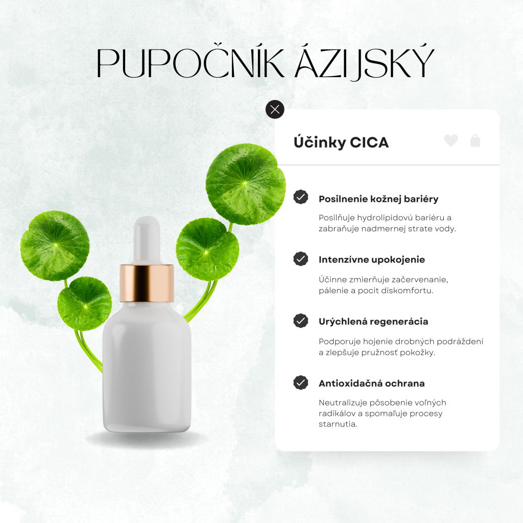 Účinky pupočníka ázijského