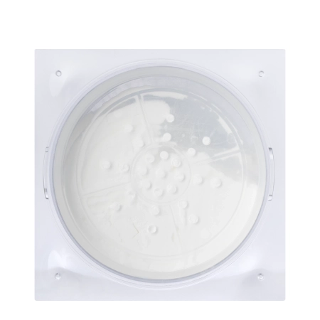 Dr. Althea - Dear. A Face Blur Finishing Powder - Zmatňujúci púder - 8g