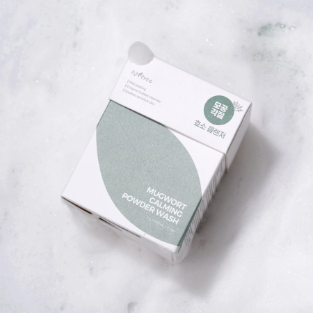 Isntree - Spot Saver - Mugwort Calming Powder Wash - Púder na čistenie pleti - 25 x 1g