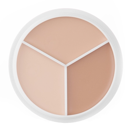 TFIT - Cover Up Pro Concealer Palette - Neutral - Paleta korektorov na tvár - 10g