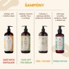 HairTry - Take Off The Sebum - Čistiaci šampón - 500ml