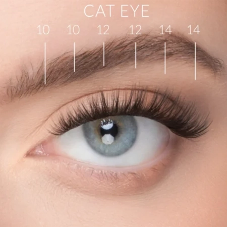 Nanolash - Stick & Go Pre-Glued Lashes - Trsy rias s lepidlom - Harmony - 1 bal.