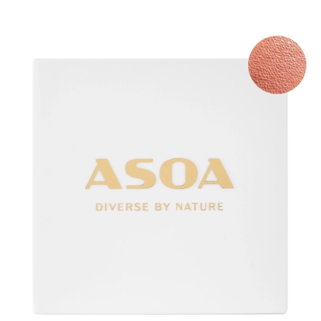 Asoa - Minerálna lícenka - Pastel Coral - 6g