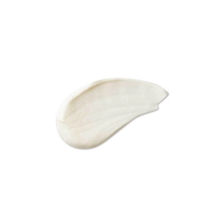 Evolve Organic Beauty - Daily Renew Natural Face Cream - Výživný pleťový krém - 30 ml