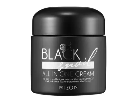 Mizon - Black Snail All in One Cream - Multifunkčný pleťový krém so slimačím slizom - 75 ml
