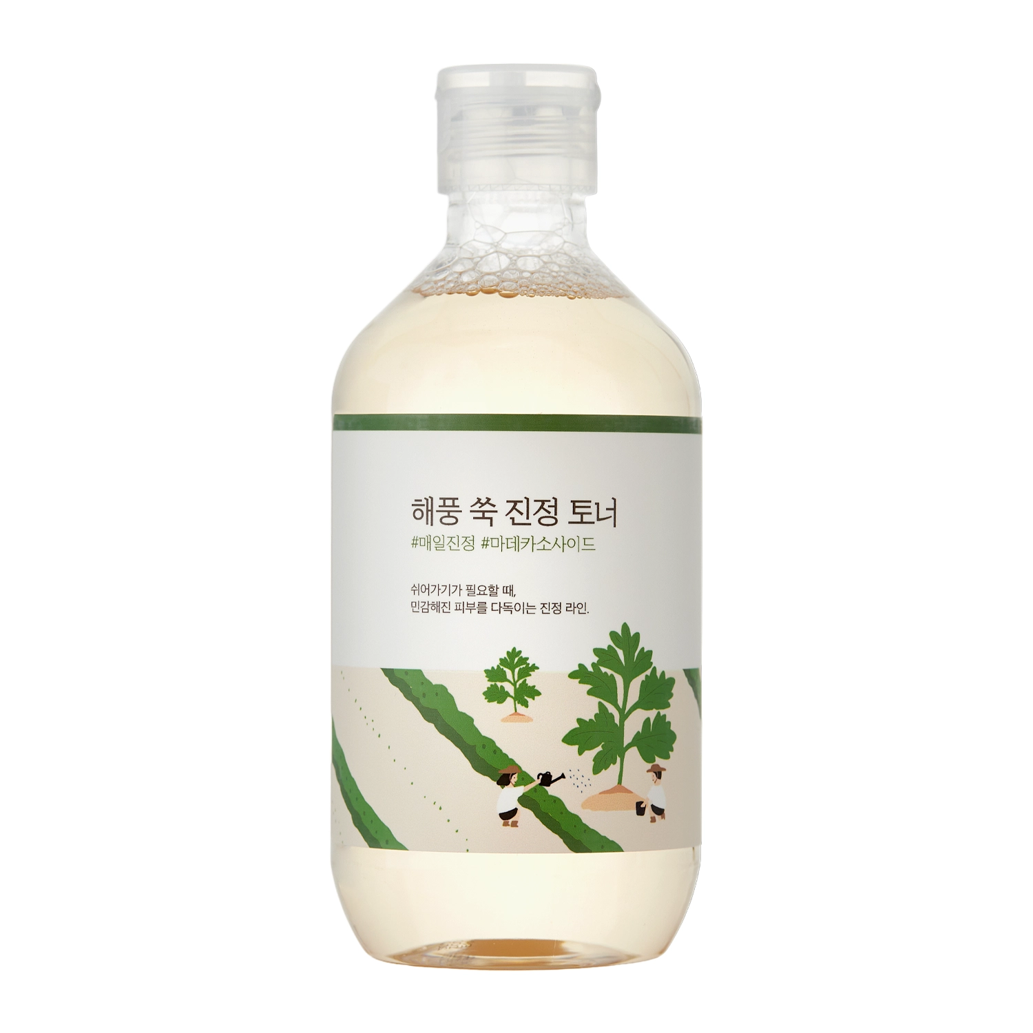 Round Lab - Mugwort Calming Toner - Hydratačné a upokojujúce tonikum na tvár - 300 ml